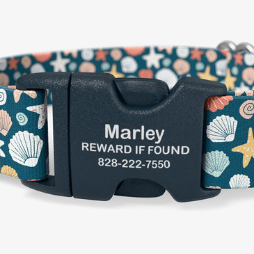 Buckle personalized